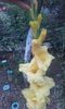 20160628_203631