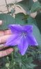 20160628_203753