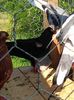 Photo0061