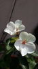 20160619_122905