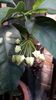 20160629_102550