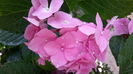 20160629_101357