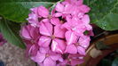 20160629_101133