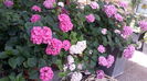 20160627_092958