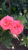 20160626_120526