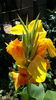 20160626_120502