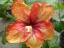 073