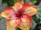 078