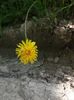 20160622_145927