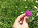 20160622_145336
