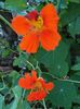 IMG_20160629_17341