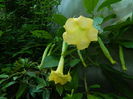 DSCN1422