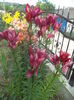 DSC01770