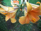 DSC01853