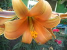 DSC01854