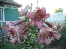 DSC01924