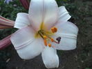 DSC01925