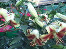DSC01931