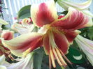 DSC01929