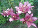 DSC01960