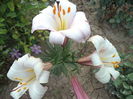 DSC02060