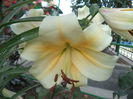 DSC02080