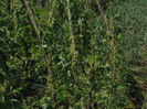 picture 022
