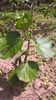 WP_20160618_10_50_23_Pro