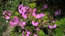 WP_20160618_10_58_03_Pro