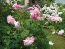 Jubilee Celebration