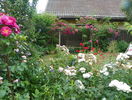 29 iun (109)