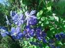 IMG_20160630_122410