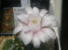 DSCN7342