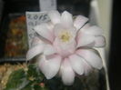 DSCN7343