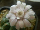 DSCN7346