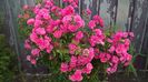 WP_20160630_19_24_24_Pro