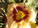 P1290467