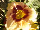 P1290468
