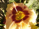 P1290469