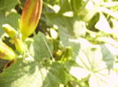 P1290481