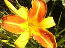 P1290482