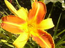 P1290483