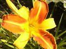 P1290484