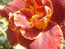 P1290486