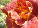 P1290487