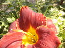 P1290491
