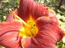 P1290492