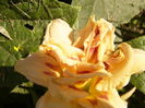P1290495