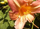 P1290496