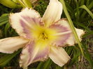 P1290524